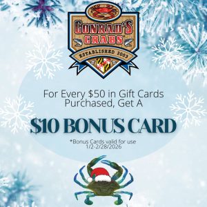 Physical Gift Card (CHRISTMAS BONUS CARD SPECIAL)