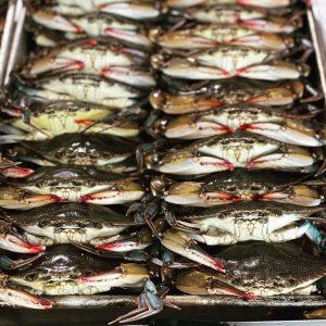 Frozen Soft Crabs