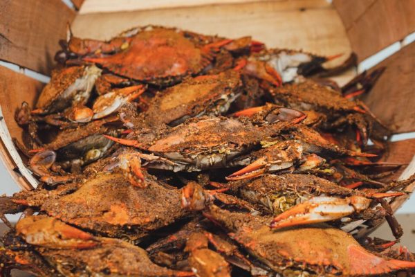 Maryland Medley