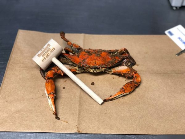 Crab Mallet - Image 2