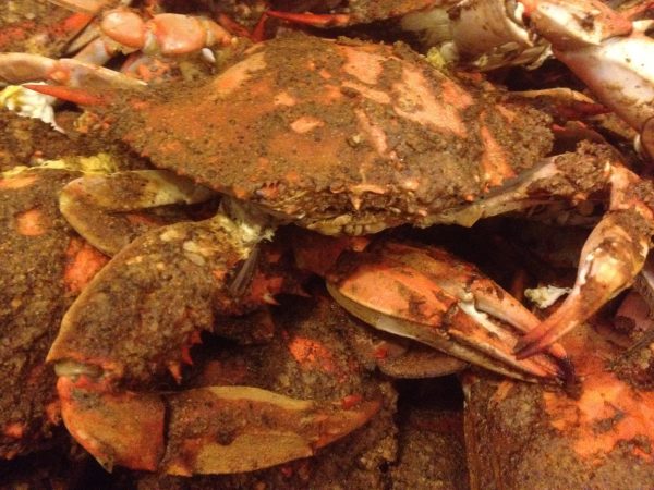 Maryland Steamed Crabs - Image 3