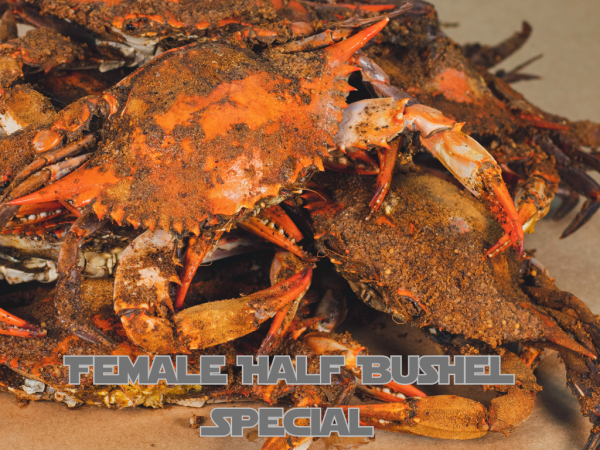 Crab Season Starter Pack - Image 7